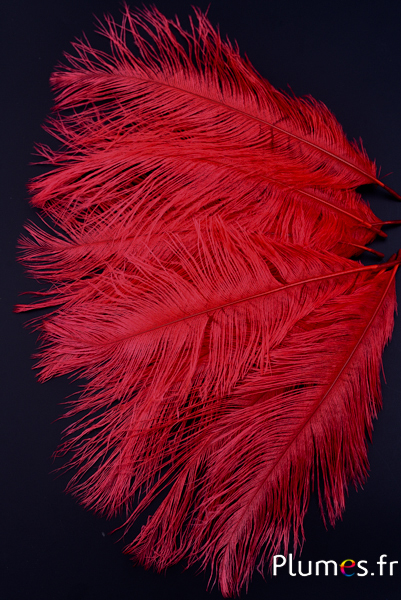 Autruche - 13-18 cm - rouge